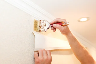 Pose de papier peint à Plasnes — revêtements muraux et toiles de verre